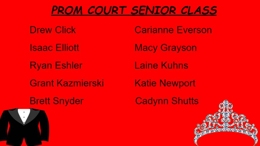 senior court